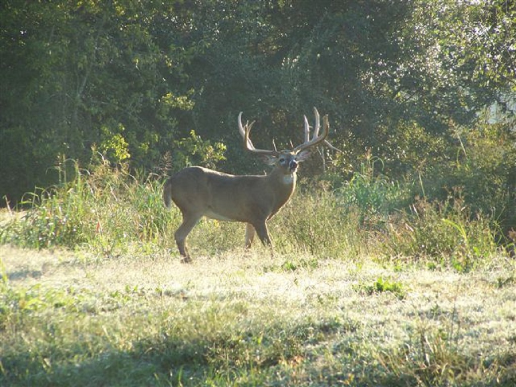 1,359.674 Acres – Wharton County