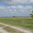400 +/- acres La Ward, Texas – Jackson County