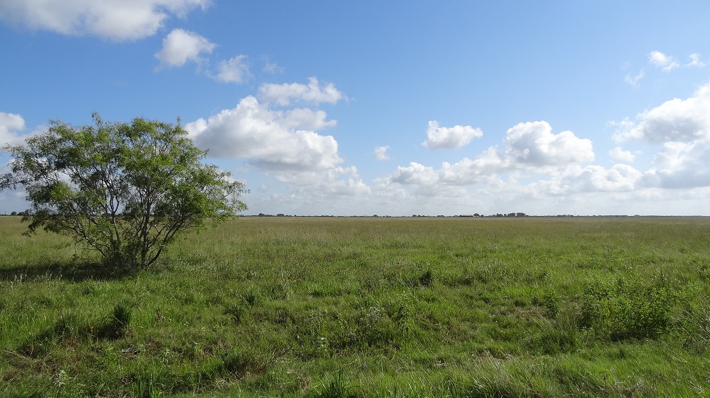 421 acres in La Ward – Jackson County