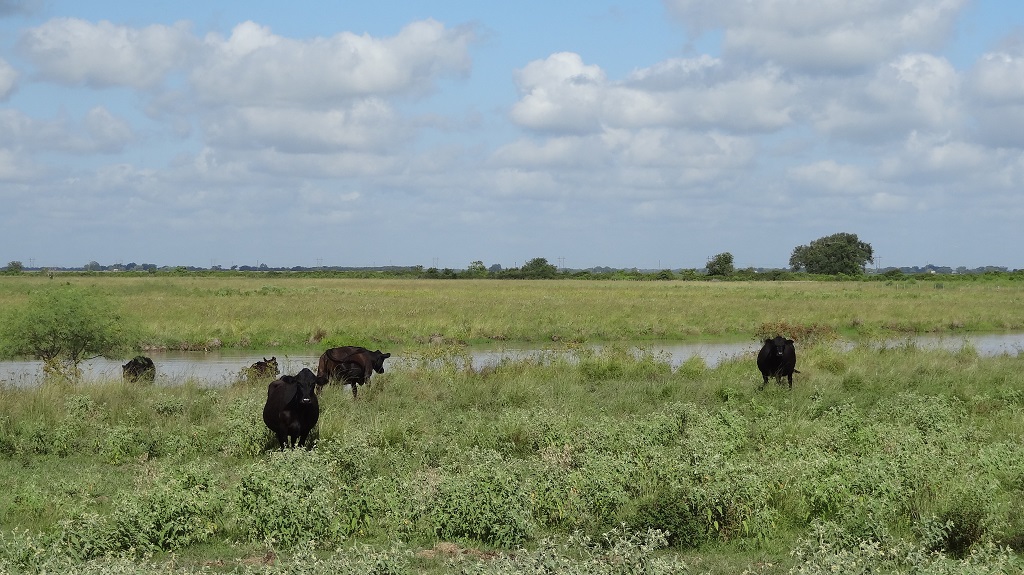 421 acres in La Ward – Jackson County