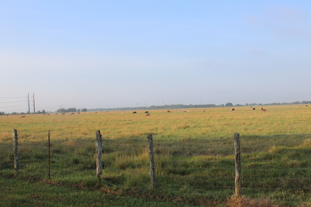 312 acres in  Wharton County