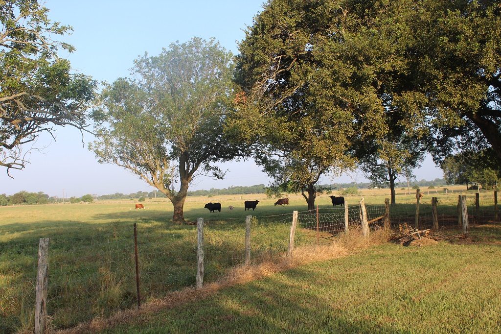 312 acres in  Wharton County