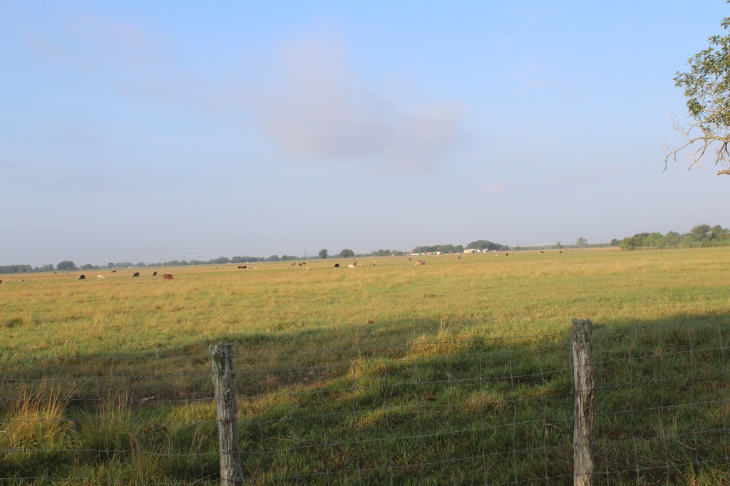 312 acres in  Wharton County