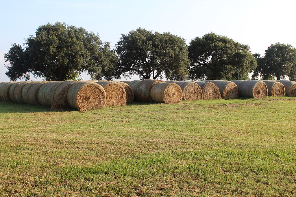 312 acres in  Wharton County