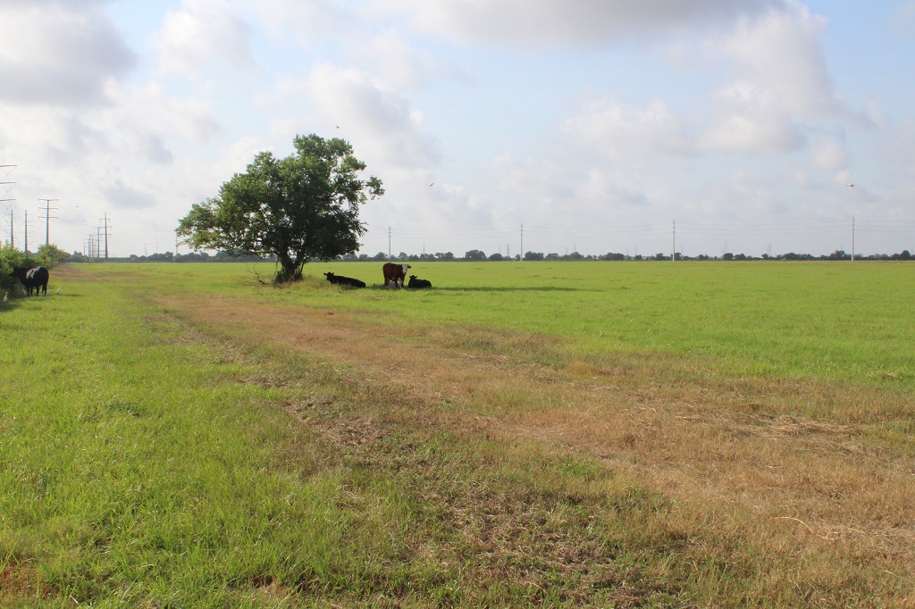 312 acres in  Wharton County