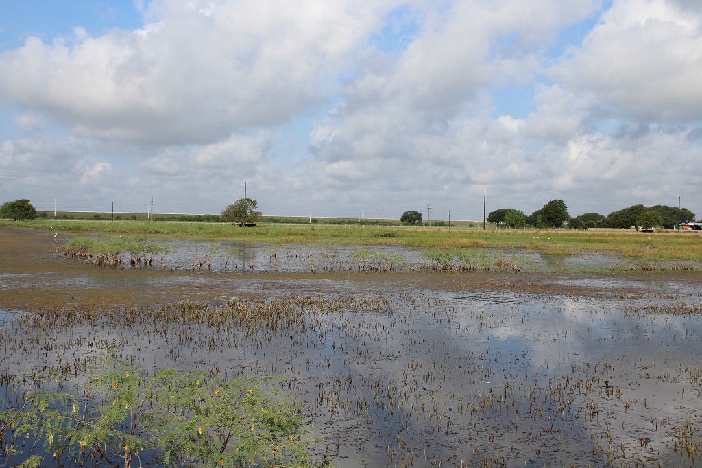 312 acres in  Wharton County