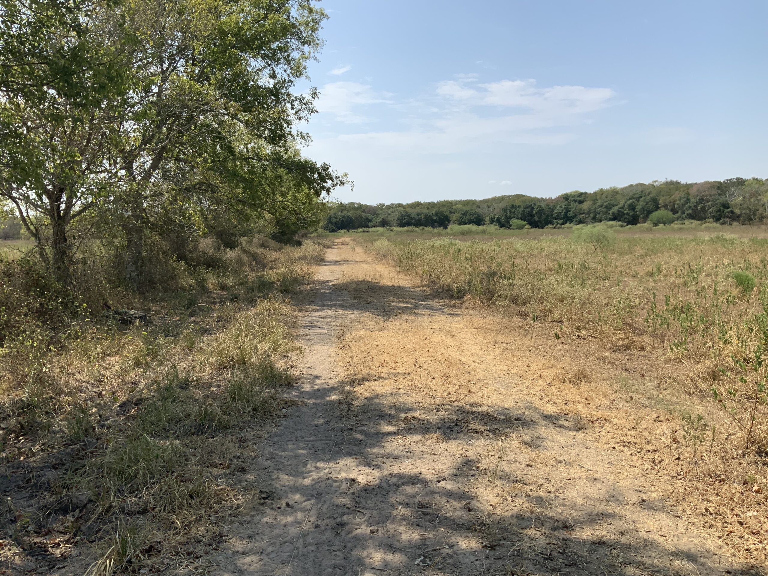 312 acres in  Wharton County