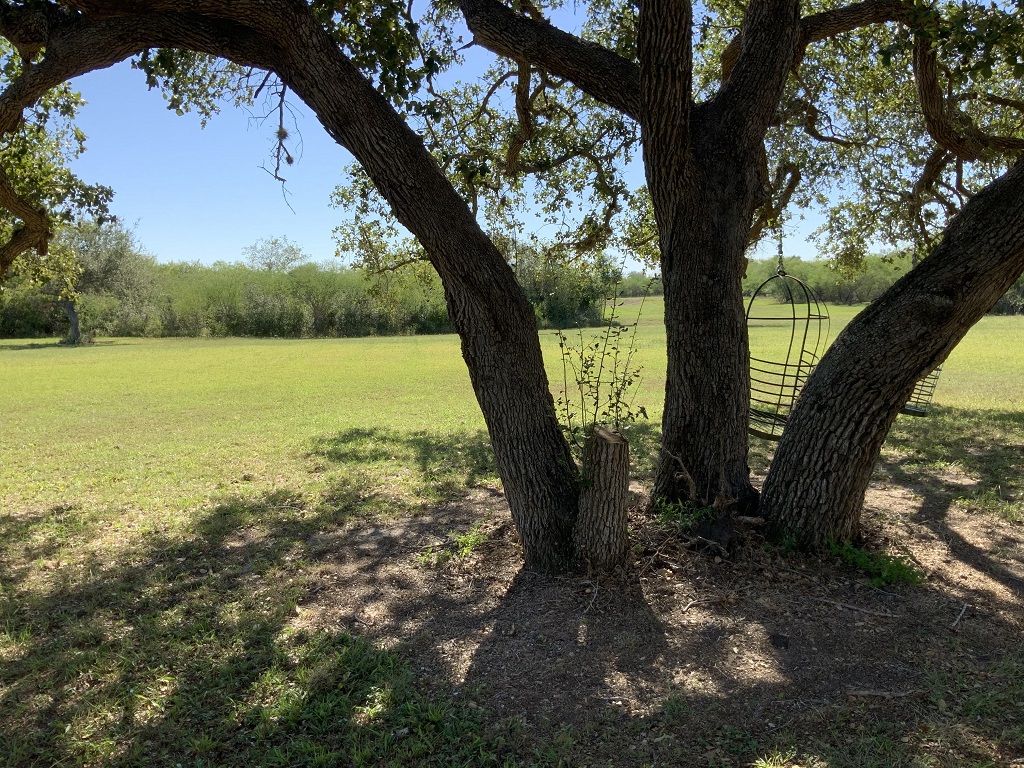 260.9 (+/-) acres Goliad County, Texas