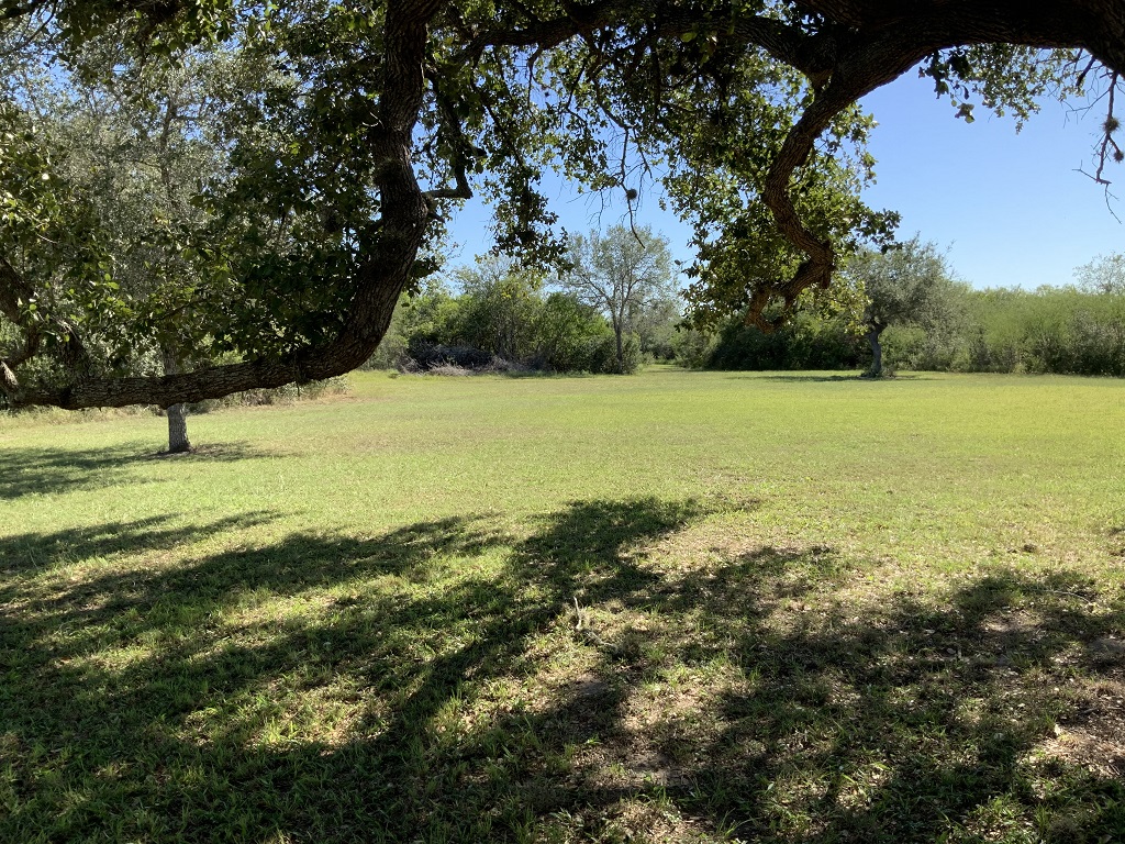 260.9 (+/-) acres Goliad County, Texas