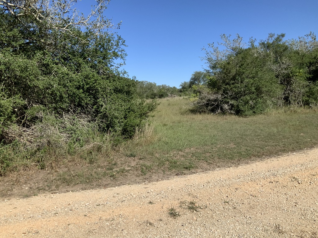 260.9 (+/-) acres Goliad County, Texas