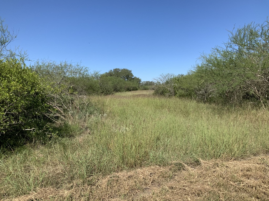 260.9 (+/-) acres Goliad County, Texas