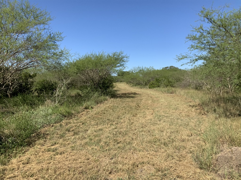 260.9 (+/-) acres Goliad County, Texas