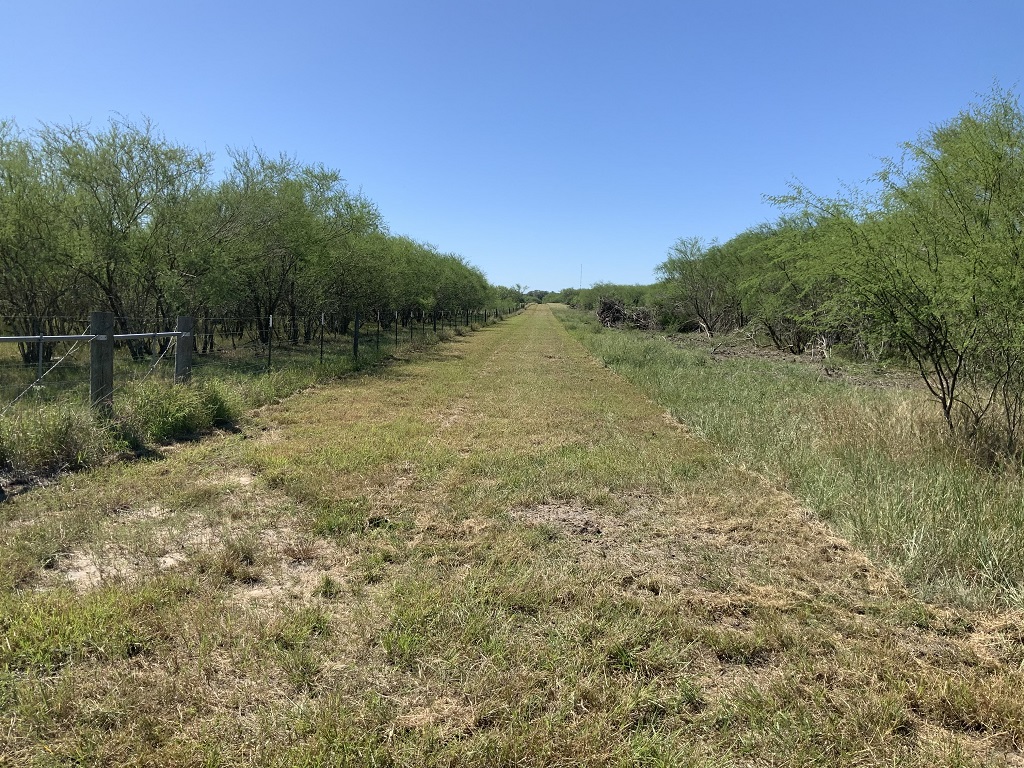 260.9 (+/-) acres Goliad County, Texas