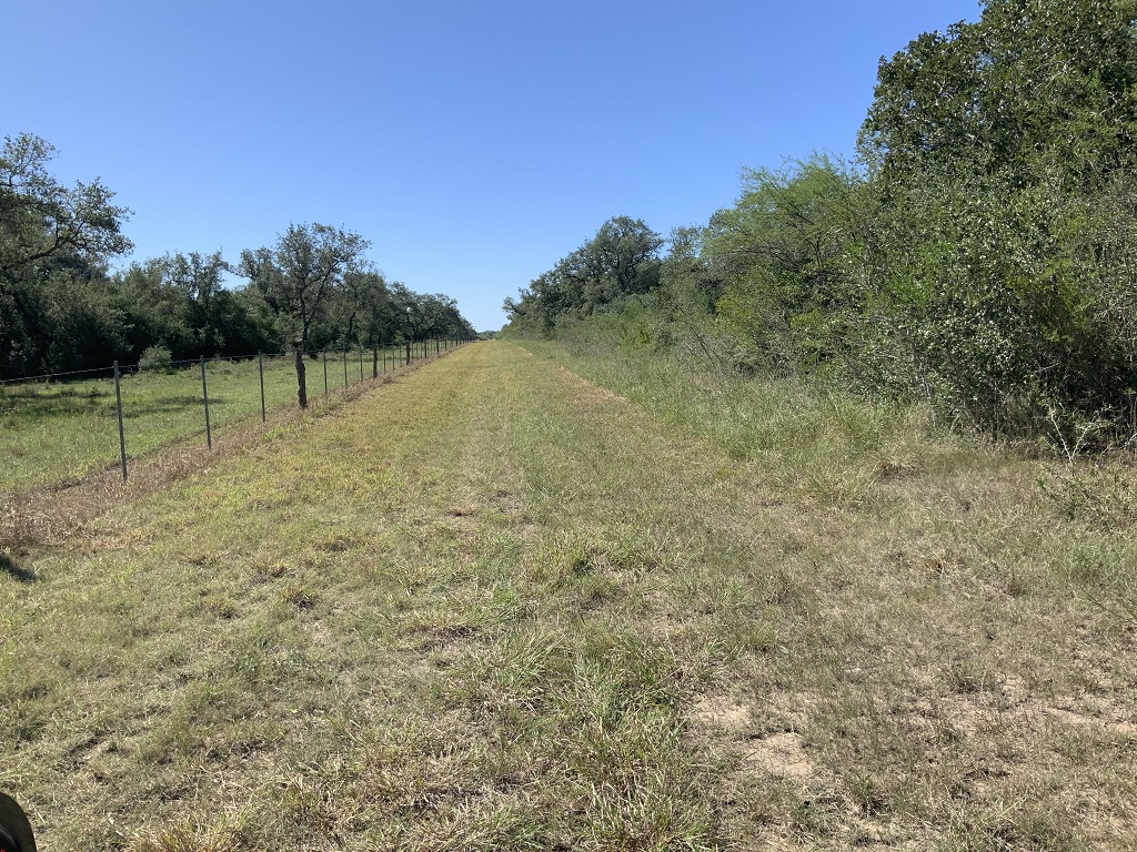 260.9 (+/-) acres Goliad County, Texas