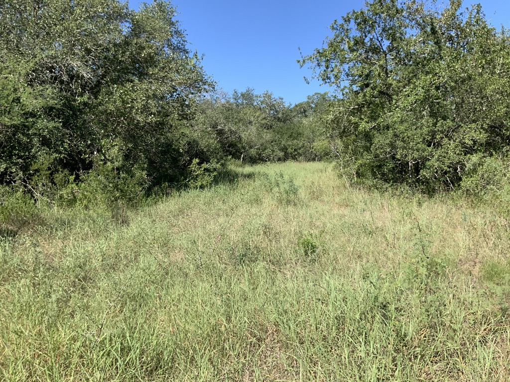 260.9 (+/-) acres Goliad County, Texas