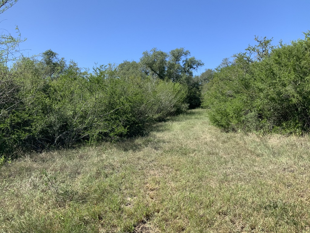 260.9 (+/-) acres Goliad County, Texas