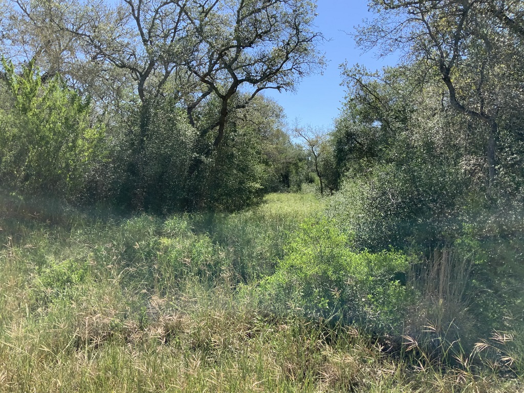 260.9 (+/-) acres Goliad County, Texas