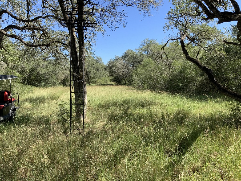 260.9 (+/-) acres Goliad County, Texas