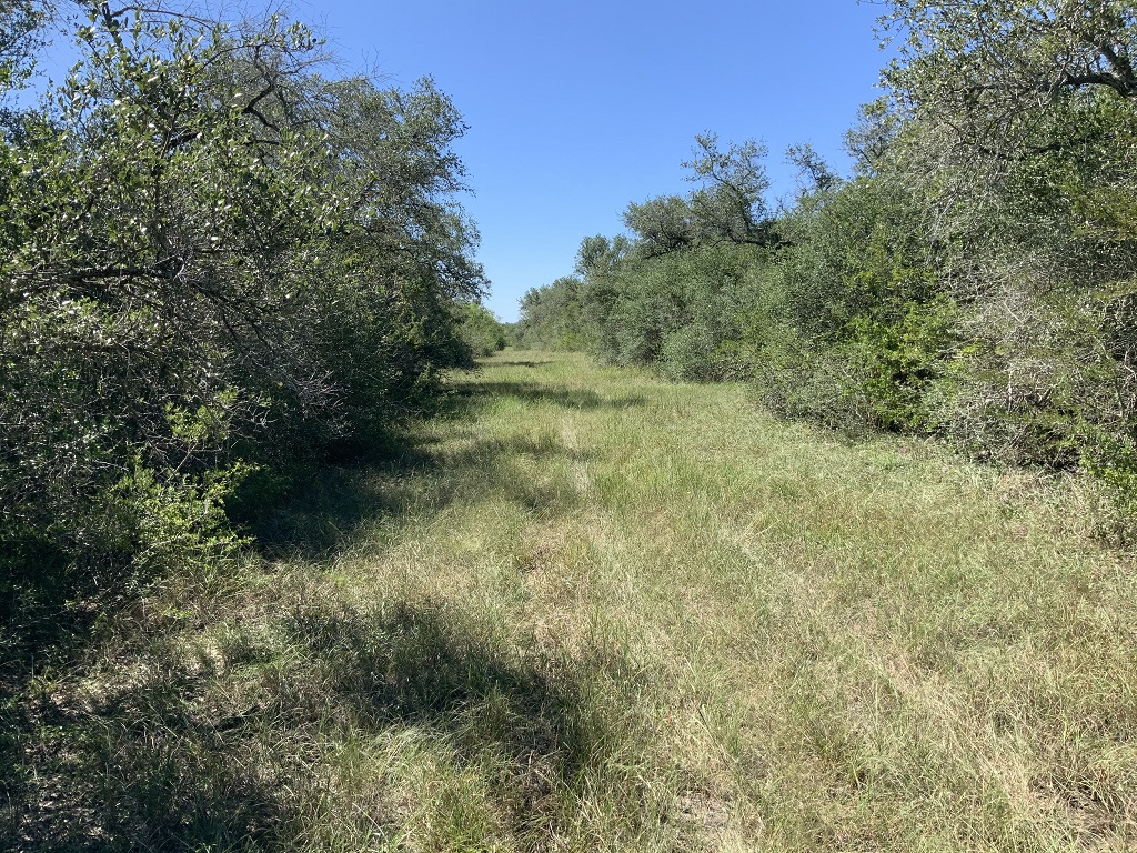 260.9 (+/-) acres Goliad County, Texas