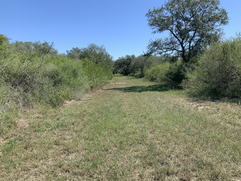 260.9 (+/-) acres Goliad County, Texas