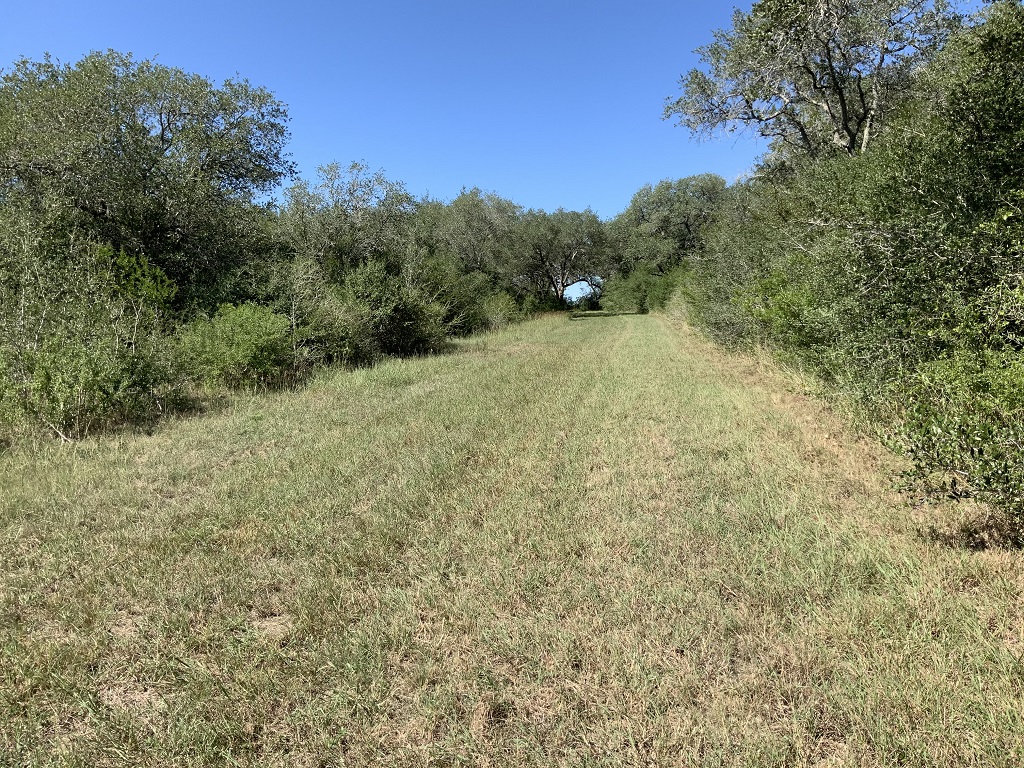 260.9 (+/-) acres Goliad County, Texas