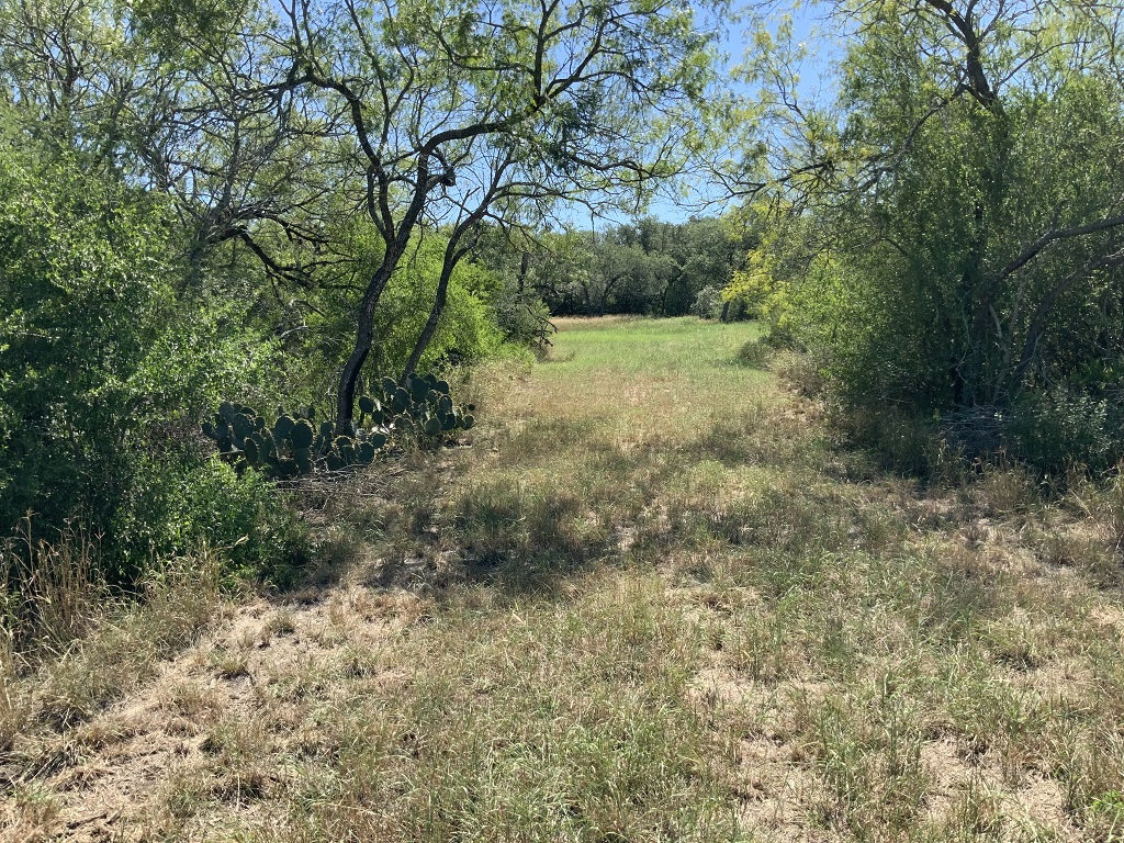 260.9 (+/-) acres Goliad County, Texas