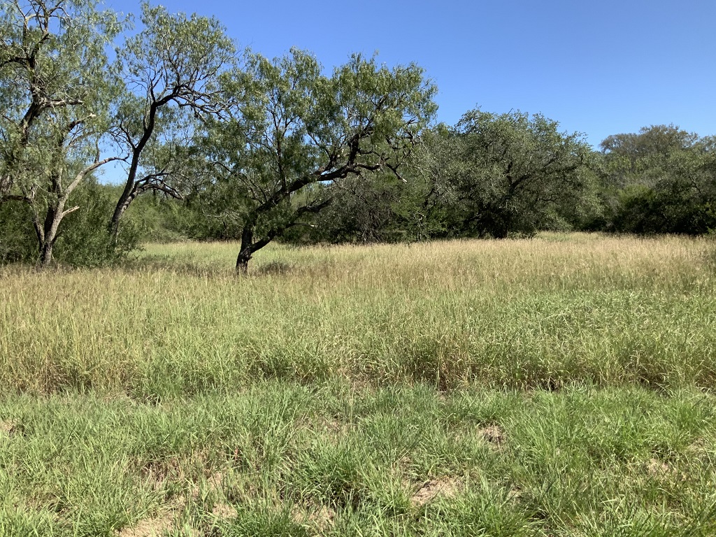 260.9 (+/-) acres Goliad County, Texas