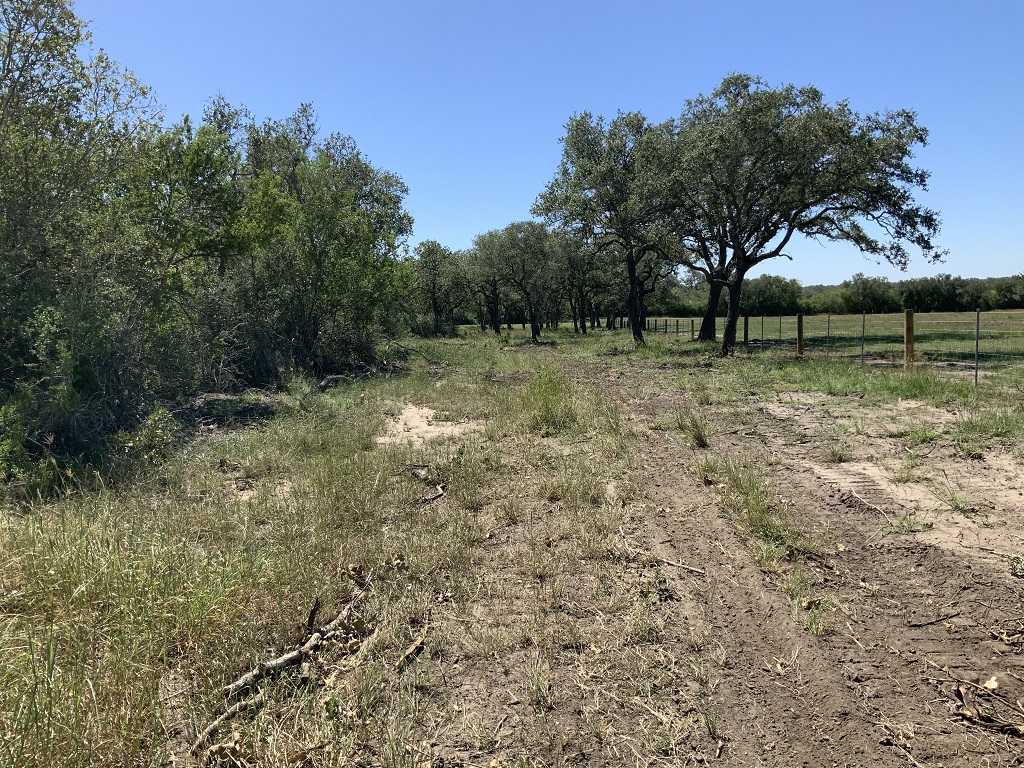 260.9 (+/-) acres Goliad County, Texas