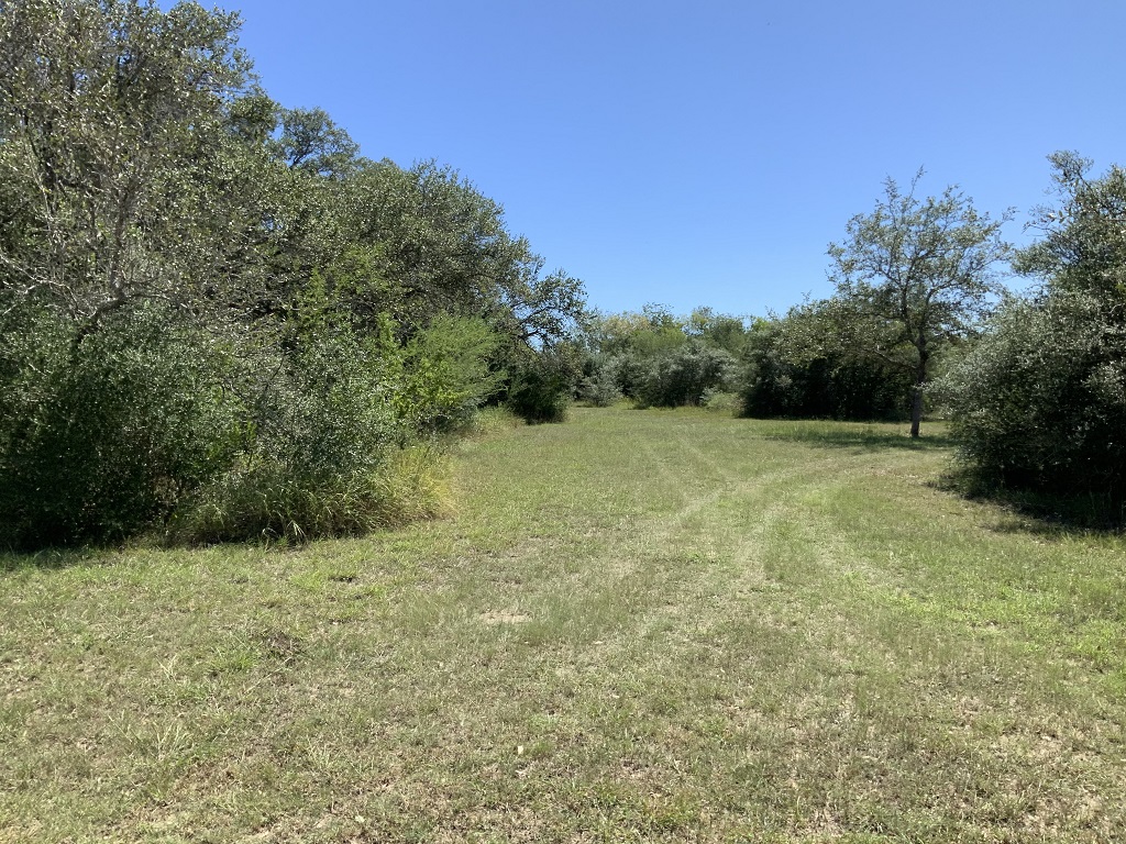 260.9 (+/-) acres Goliad County, Texas