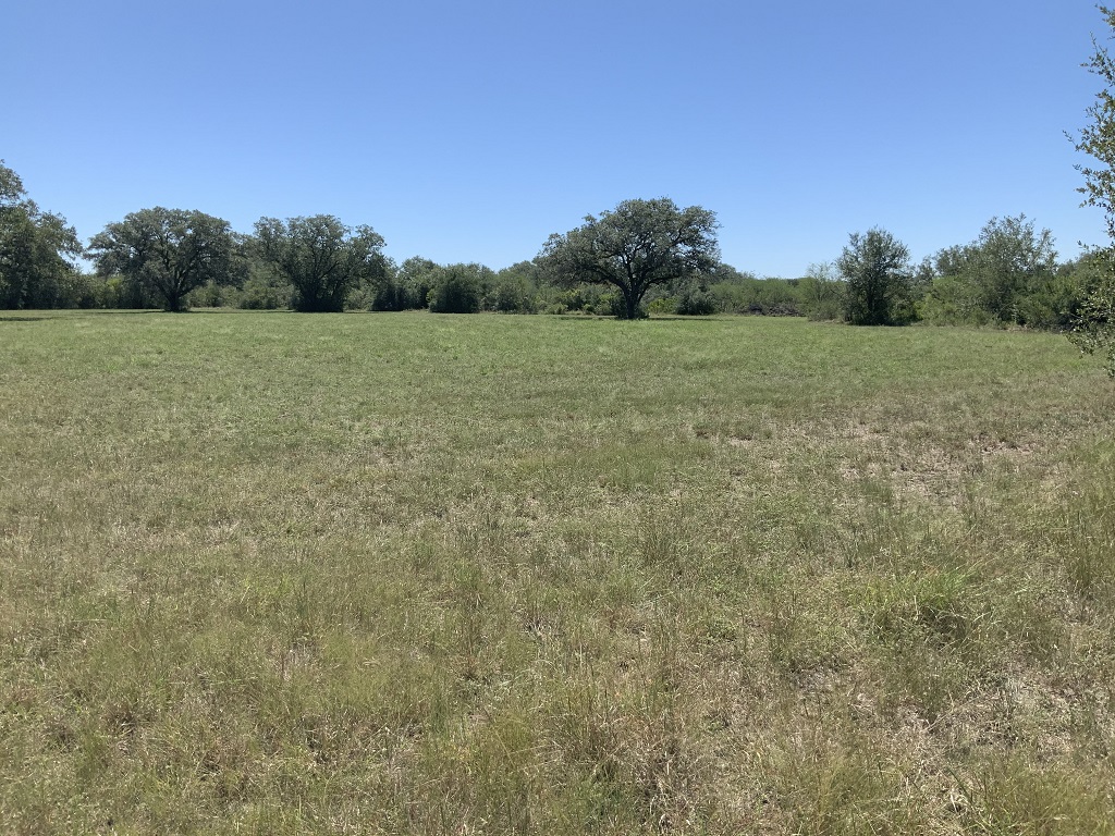 260.9 (+/-) acres Goliad County, Texas