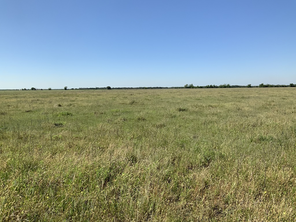 168.55 (+/-) acres in Wharton County