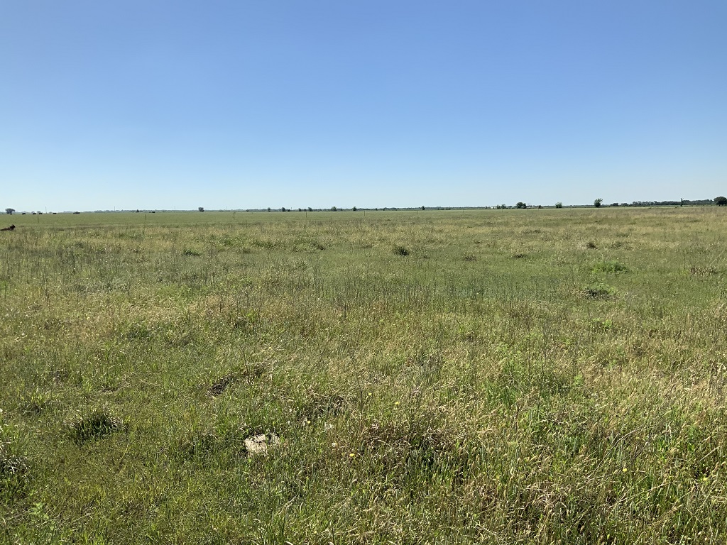 168.55 (+/-) acres in Wharton County