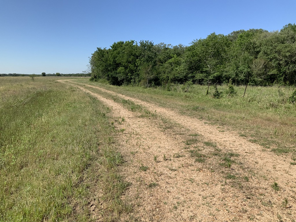 168.55 (+/-) acres in Wharton County