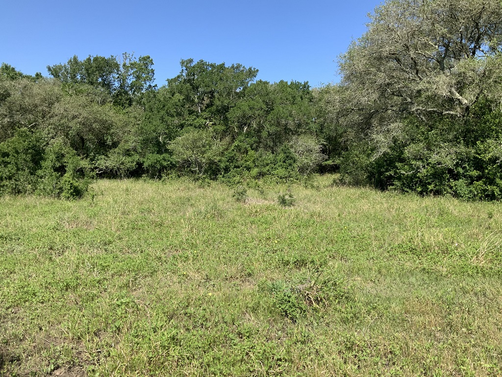 168.55 (+/-) acres in Wharton County