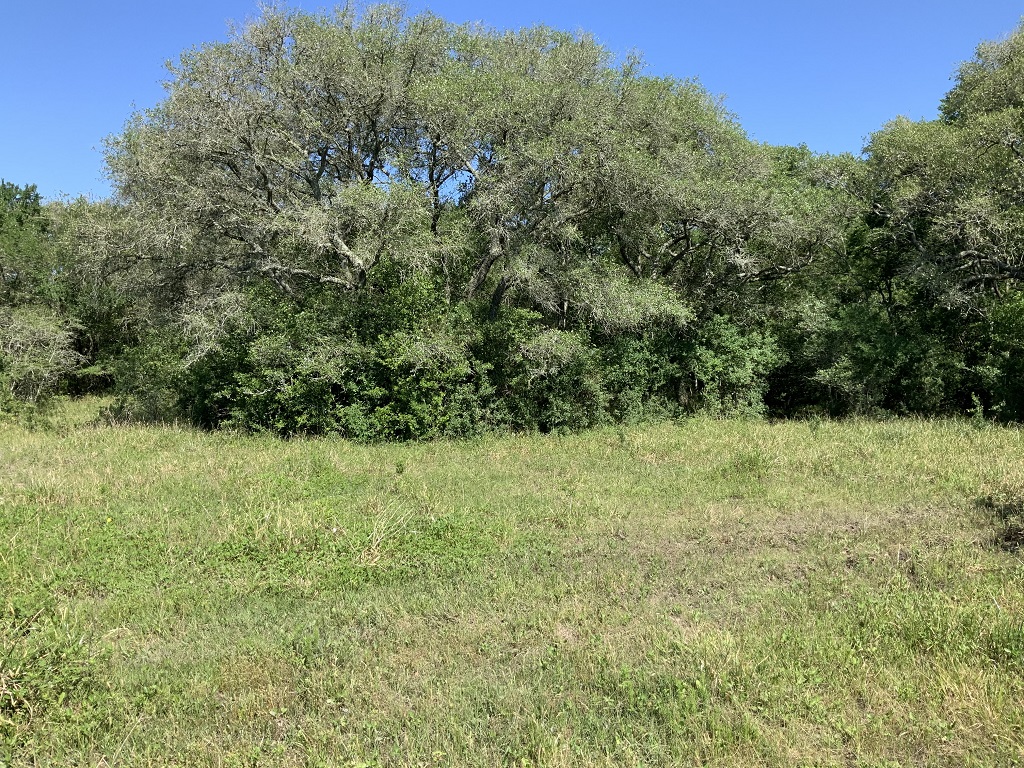 168.55 (+/-) acres in Wharton County