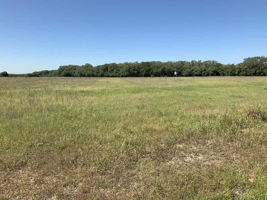 168.55 (+/-) acres in Wharton County