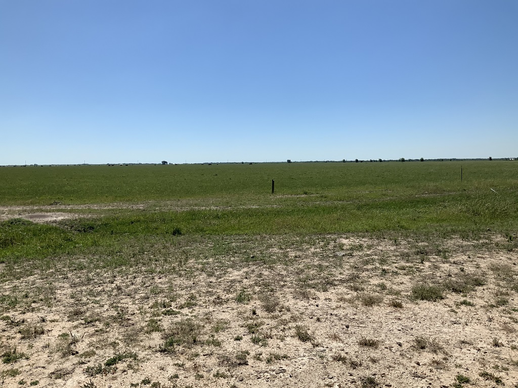 168.55 (+/-) acres in Wharton County