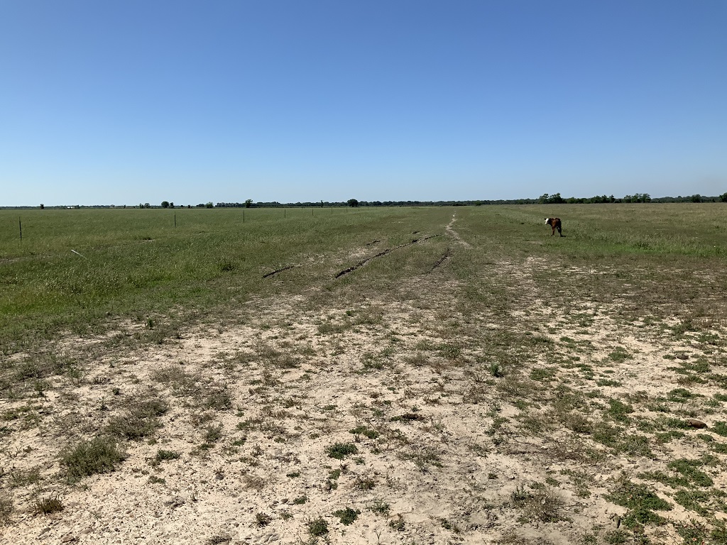 168.55 (+/-) acres in Wharton County