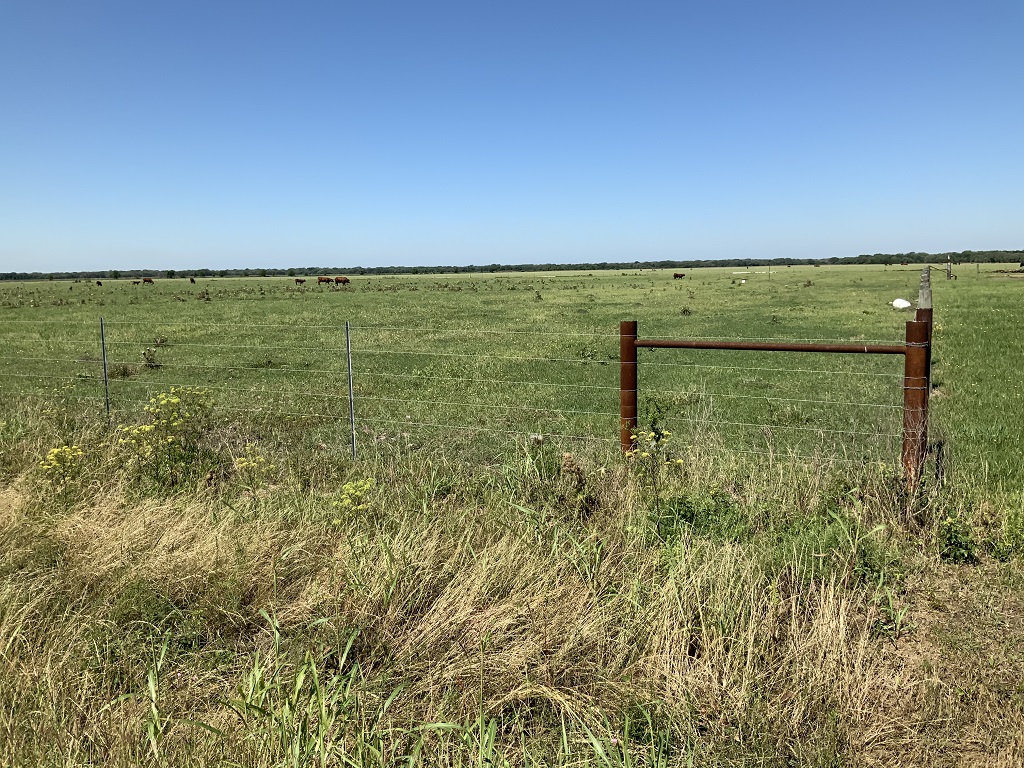 168.55 (+/-) acres in Wharton County