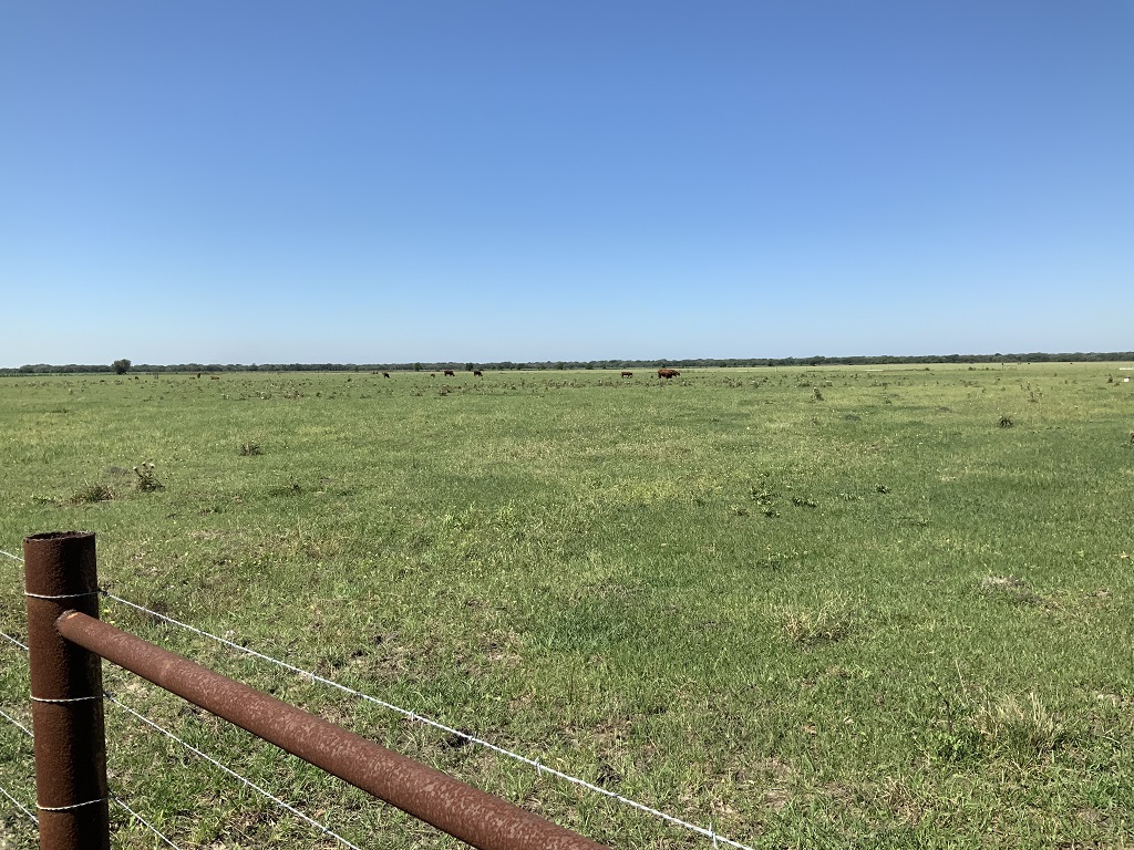 168.55 (+/-) acres in Wharton County