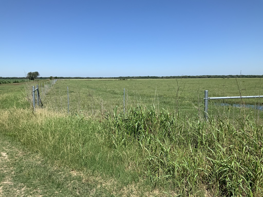 168.55 (+/-) acres in Wharton County