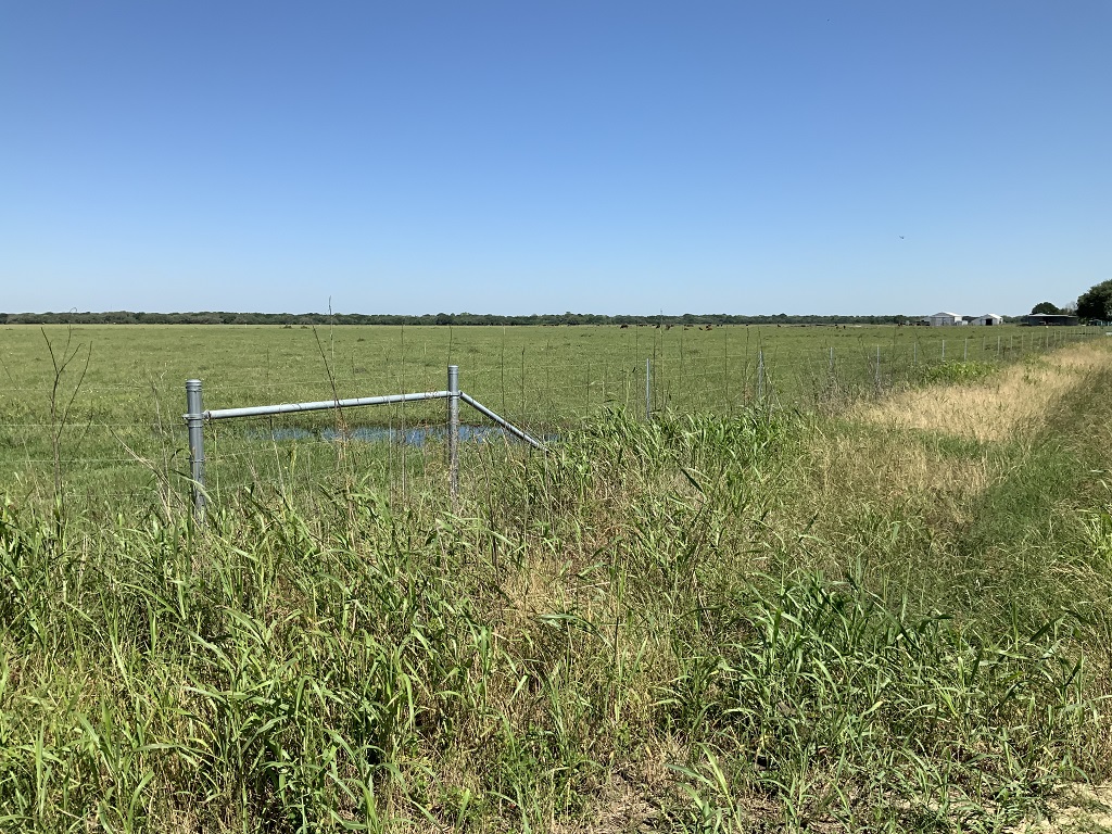 168.55 (+/-) acres in Wharton County