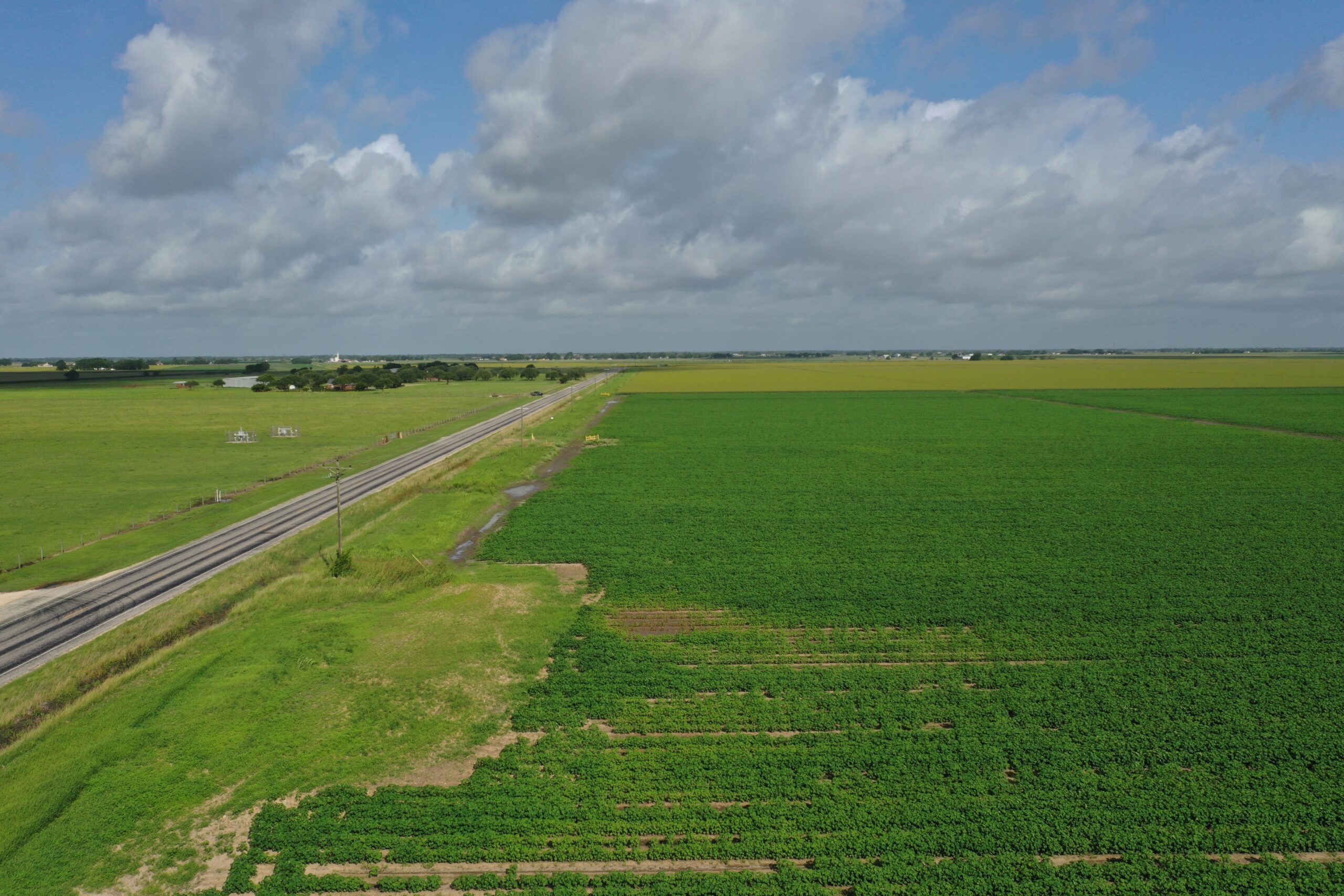 83.36 acres (+/-) in Wharton County