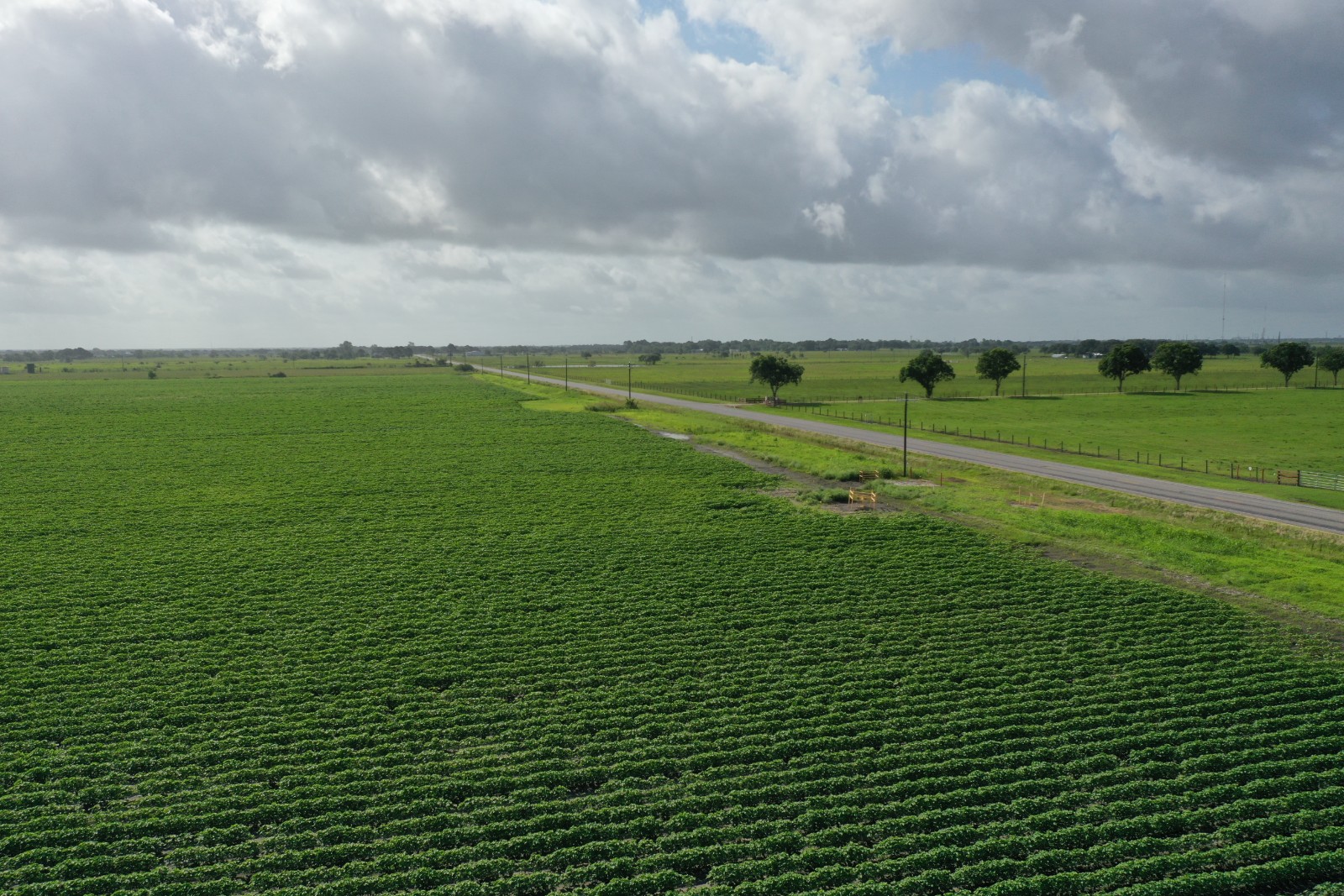 83.36 acres (+/-) in Wharton County