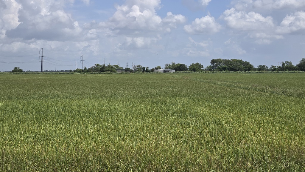 CR 375, EL CAMPO, TX  77437