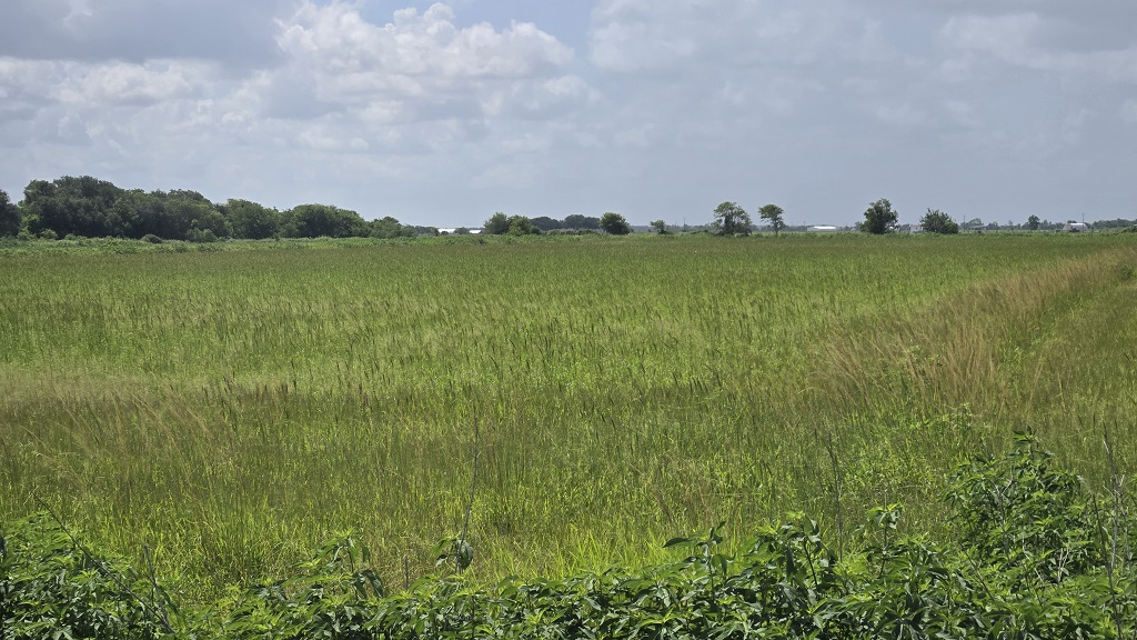 CR 375, EL CAMPO, TX  77437