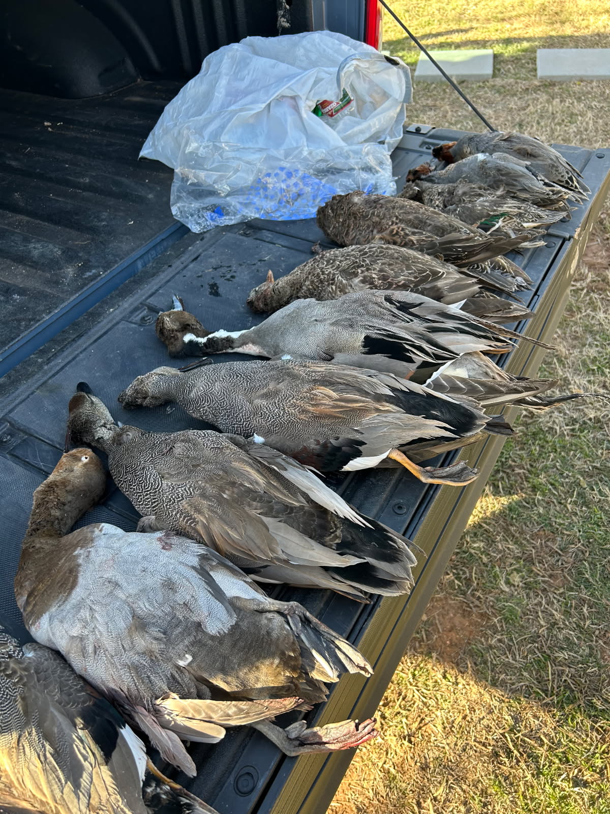 CR 375, EL CAMPO, TX  77437