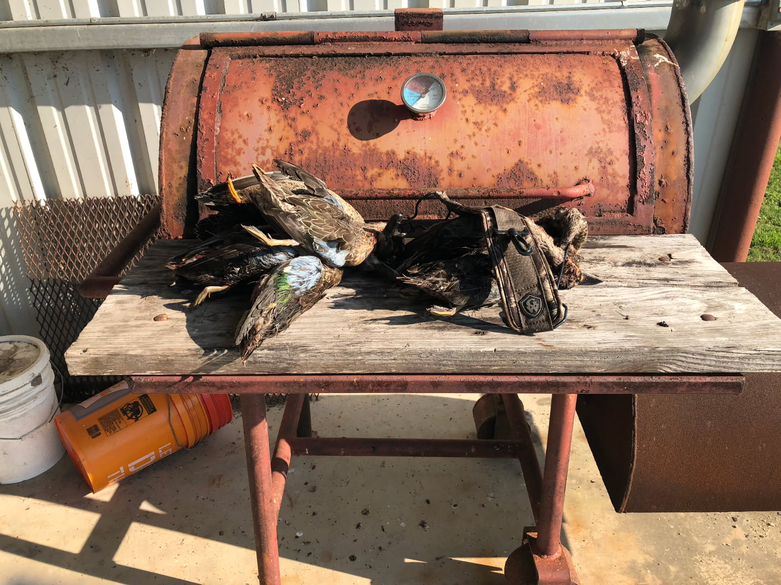 CR 375, EL CAMPO, TX  77437